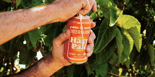 A person's hands holding a can of Beerfarm Hazy Pale beer in front of green grapevine leaves.