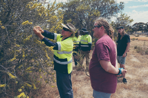 Supporting indigenous communities during our Beerfarm Native Series ingredient selection